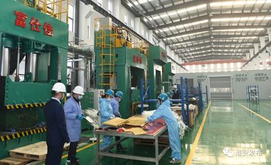 自然資源部領導赴淮調研 深化節約集約利用，評估成效促發展